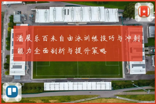 潘展乐百米自由泳训练技巧与冲刺能力全面剖析与提升策略